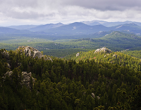Black Hills from Needles Highway, SD